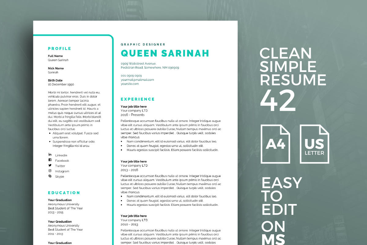 Resume Template 42 in Resume Templates - product preview 8