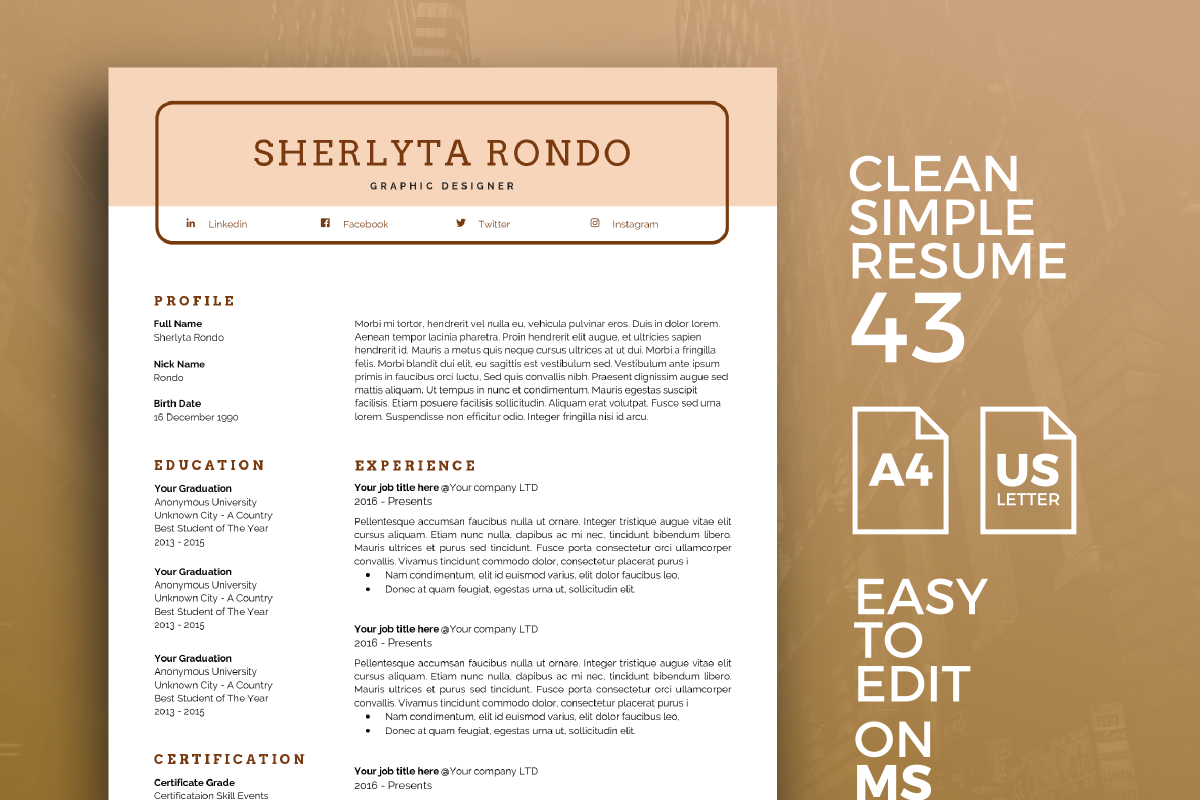 Resume Template 43 in Resume Templates - product preview 8