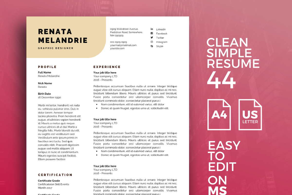 Resume Template 44 in Resume Templates - product preview 8