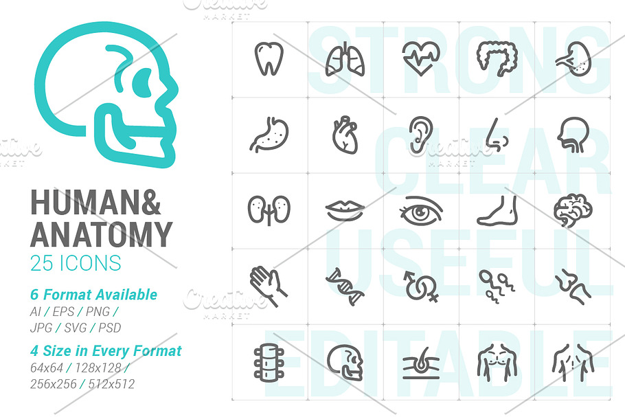 Human & Anatomy Mini Icon in Skull Icons - product preview 8