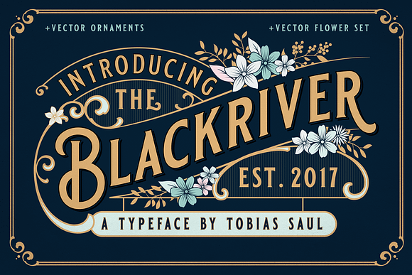 Vintage Font Bundle in Display Fonts - product preview 5