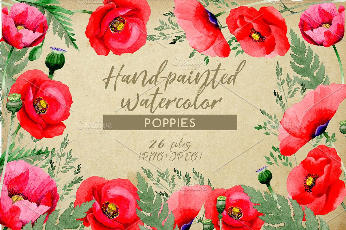 Hand-painted poppies PNG watercolor  in Illustrations - product preview 8