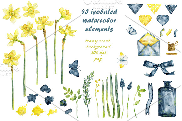 Indigo narsissus set in Illustrations - product preview 1