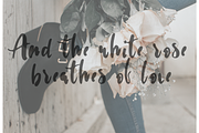 White Rose| Sale 90% Off