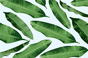 banana leaves vector