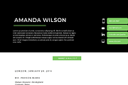 Green 2 in 1 Word resume template