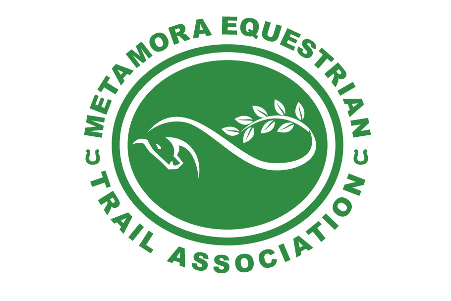 Equestrian Logo Template