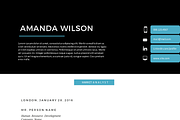 Blue 2 in 1 Word resume template