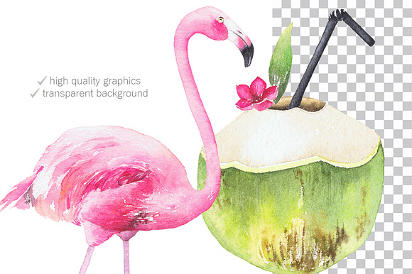 Watercolor Tropical set. in Illustrations - product preview 3
