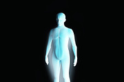 Anatomy of male muscular system. Blue human wireframe hologram. 3d illustration