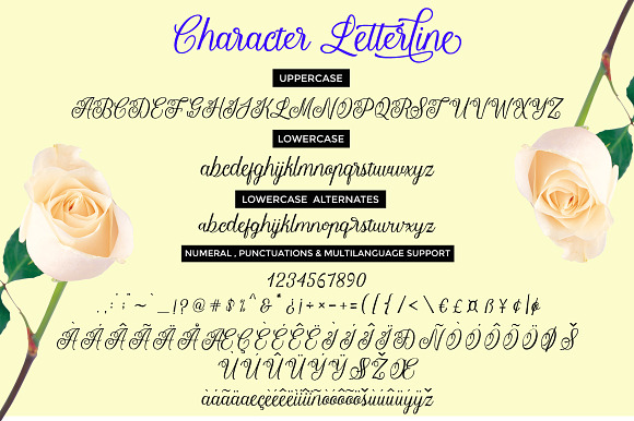 Letterline in Script Fonts - product preview 7