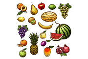 Fruits natural fresh organic sketch vector icons