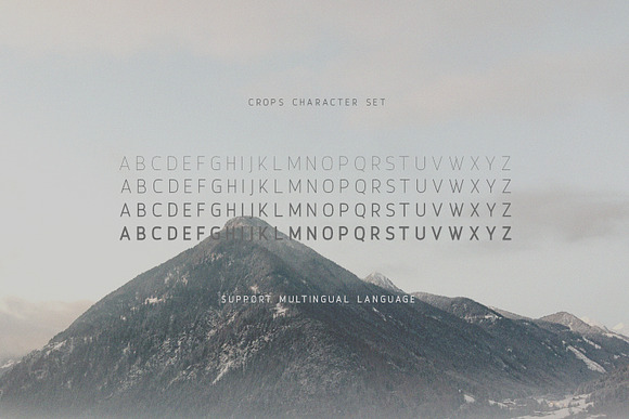 Crops - A Clean Sans Serif in Sans-Serif Fonts - product preview 2