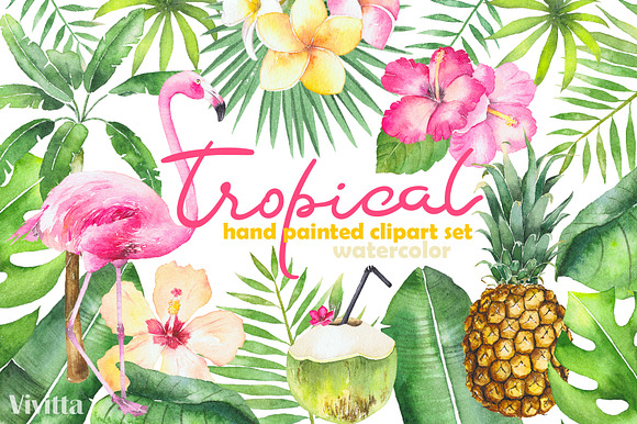Watercolor Tropical set. in Illustrations - product preview 4