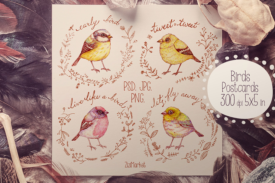 Birds greeting Cards & Patterns