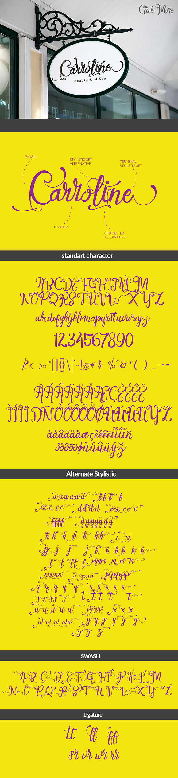 Evelyn + Extra in Script Fonts - product preview 3