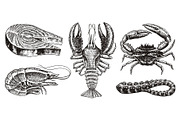Crustaceans, shrimp, lobster or crayfish, salmon steak, crab with claws. River and lake or sea creatures. Freshwater aquarium. Seafood for the menu. Engraved hand drawn in vintage sketch.