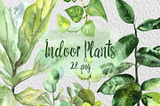 Watercolor Indoor Plants Clipart Set