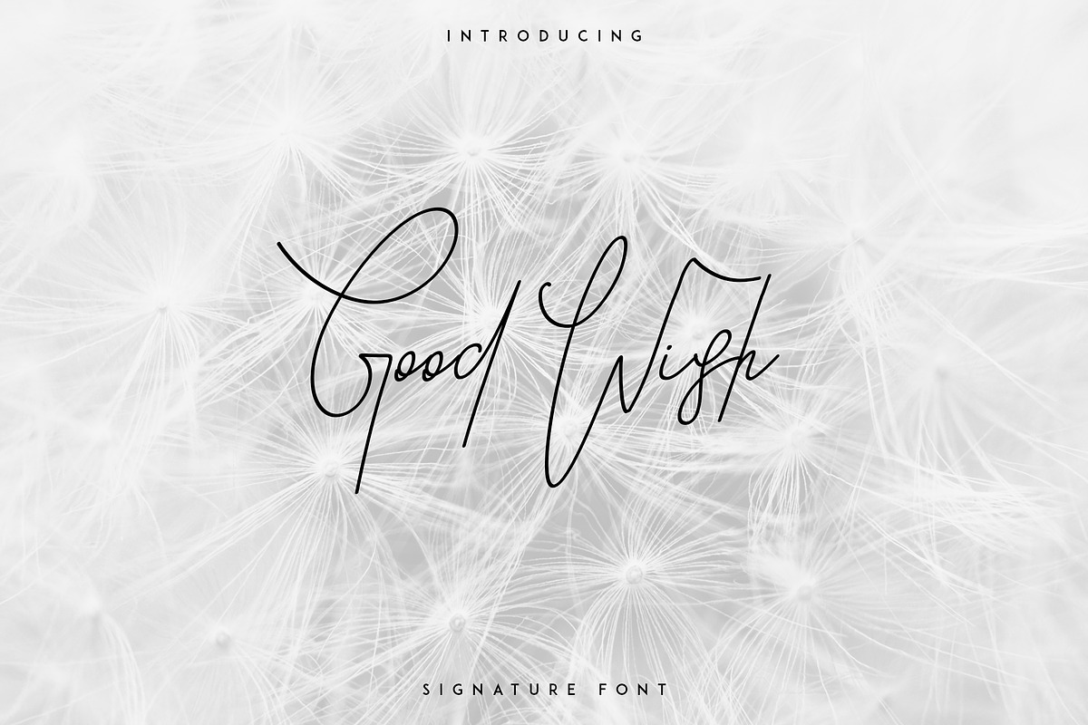 Good Wish Signature font -30% in Script Fonts - product preview 8