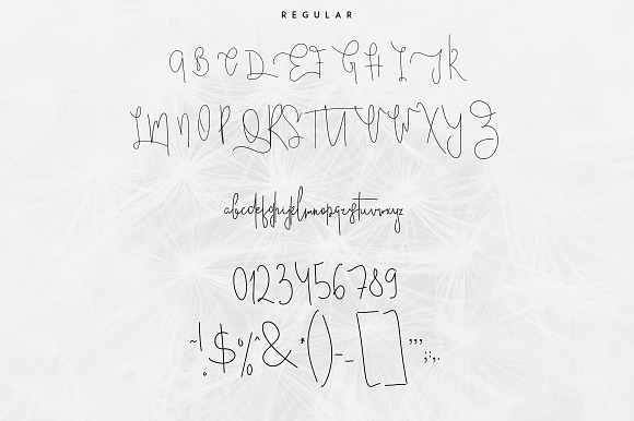 Good Wish Signature font -30% in Script Fonts - product preview 6