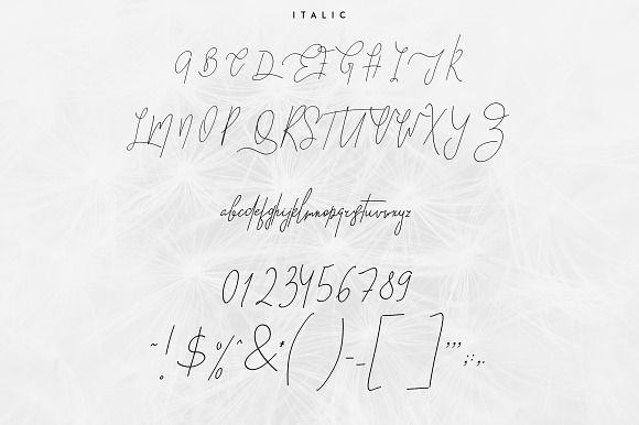Good Wish Signature font -30% in Script Fonts - product preview 7