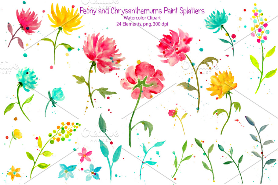 Watercolor Peony & Chrysanthemum