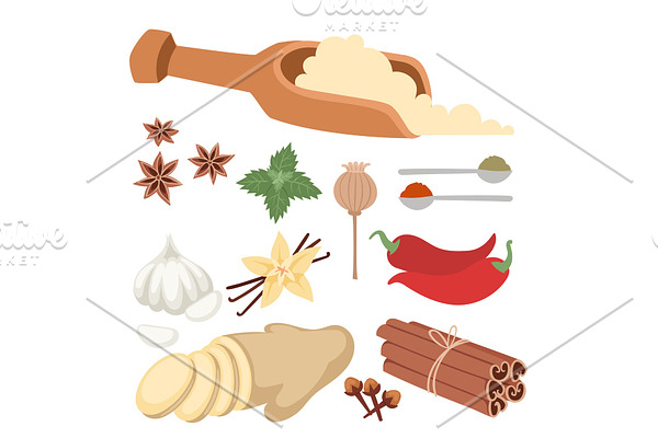 Seasoning food herbs natural healthy spices condiments organic vegetable vector ingredient.