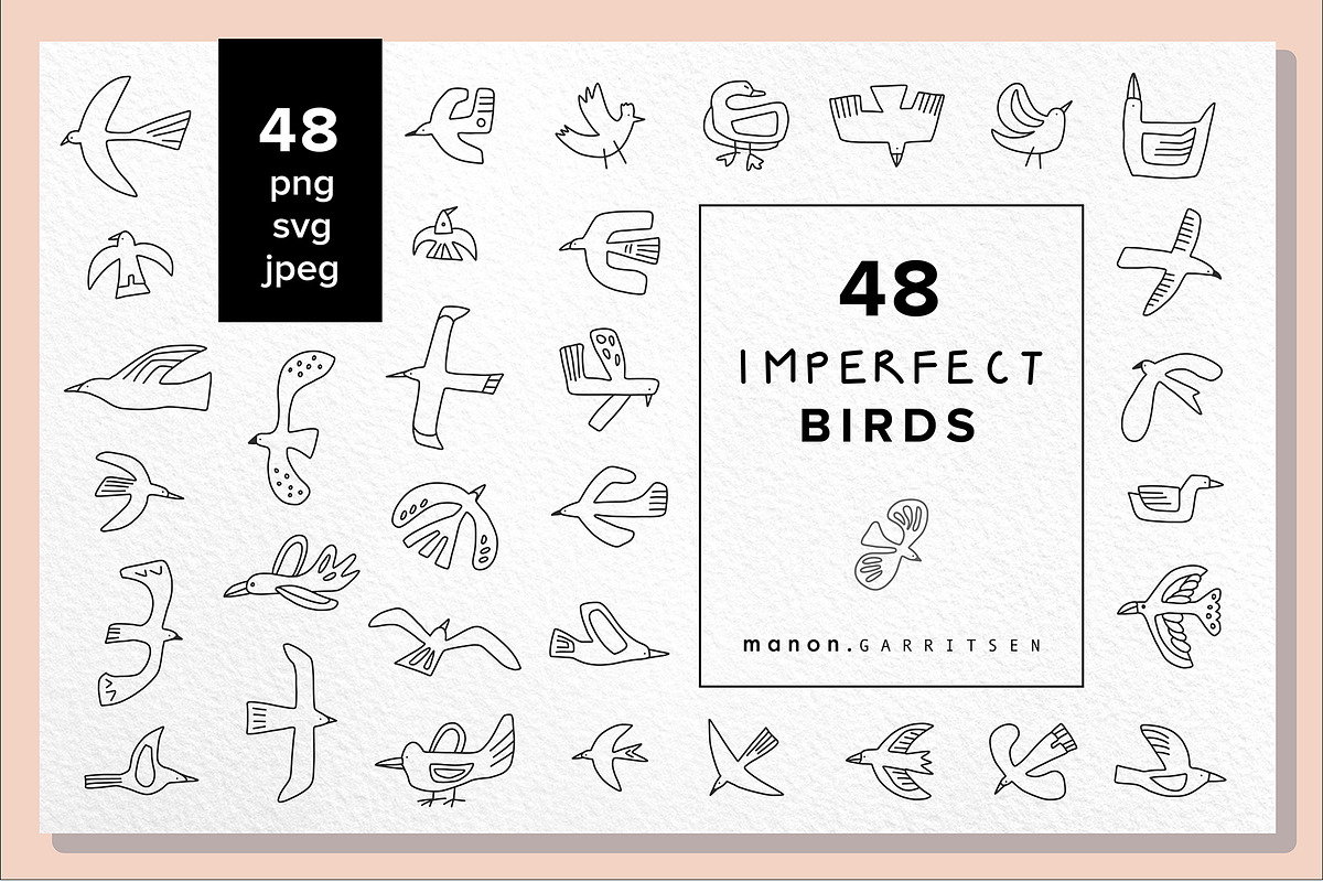 48 x vector hand drawn BIRDS in Illustrations - product preview 8