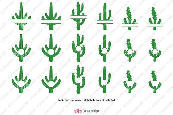 Cactus Monogram SVG in Objects - product preview 2