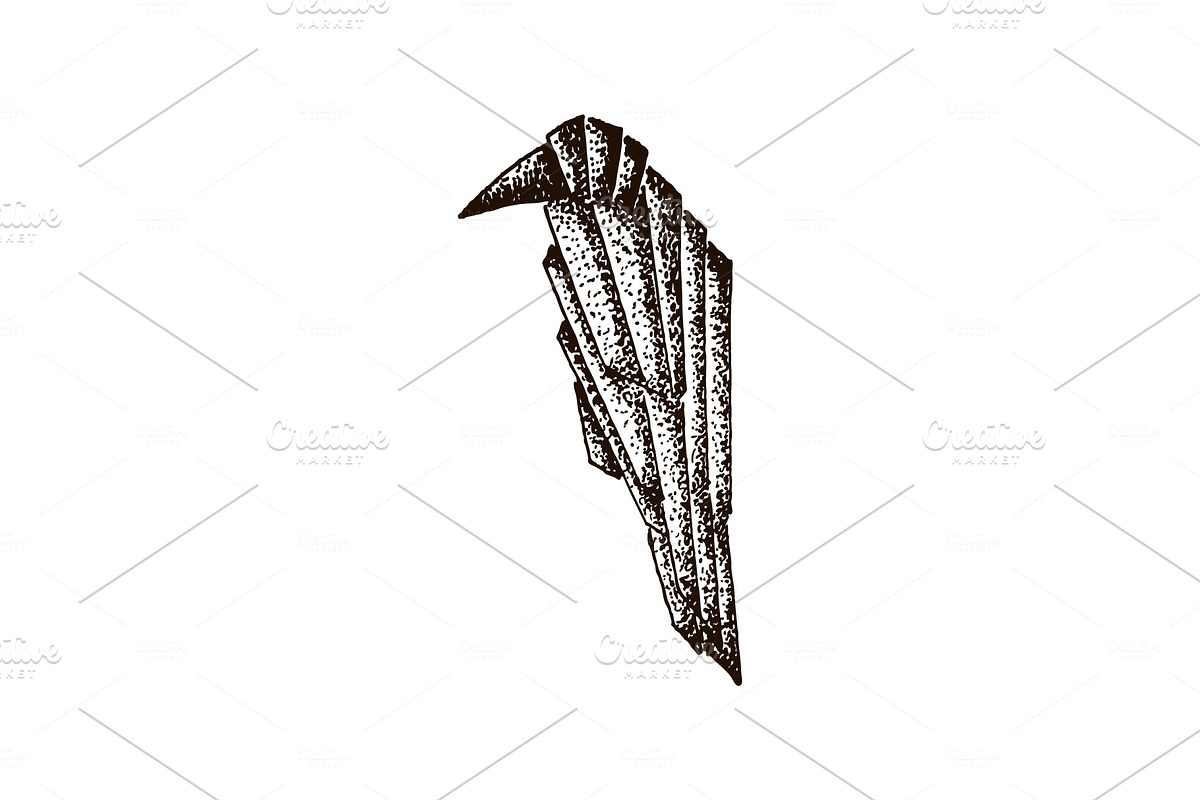 Raven. Crow. Stipple illustration. in Illustrations - product preview 8