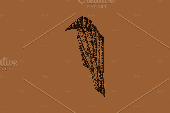 Raven. Crow. Stipple illustration. in Illustrations - product preview 1