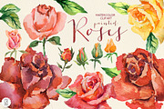 Aquarelle red watercolor roses