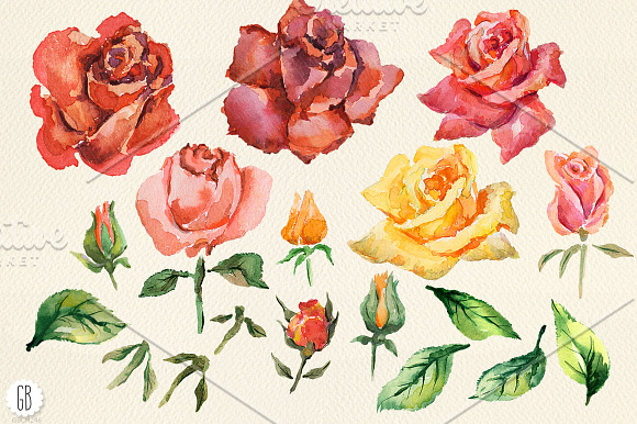 Aquarelle red watercolor roses in Illustrations - product preview 1
