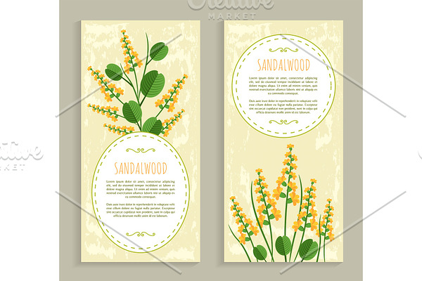 Sandalwood Cards Collection Vector Illustration