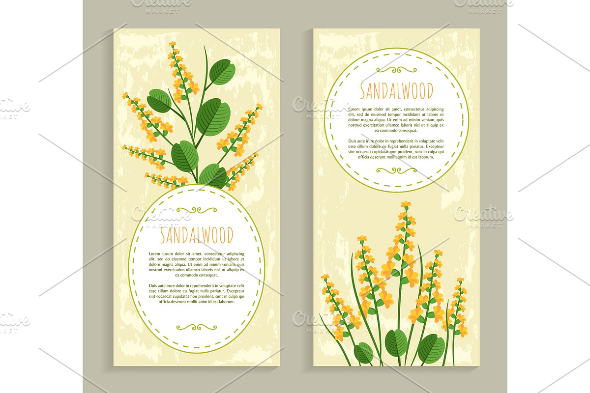 Sandalwood Cards Collection Vector Illustration in Illustrations - product preview 8