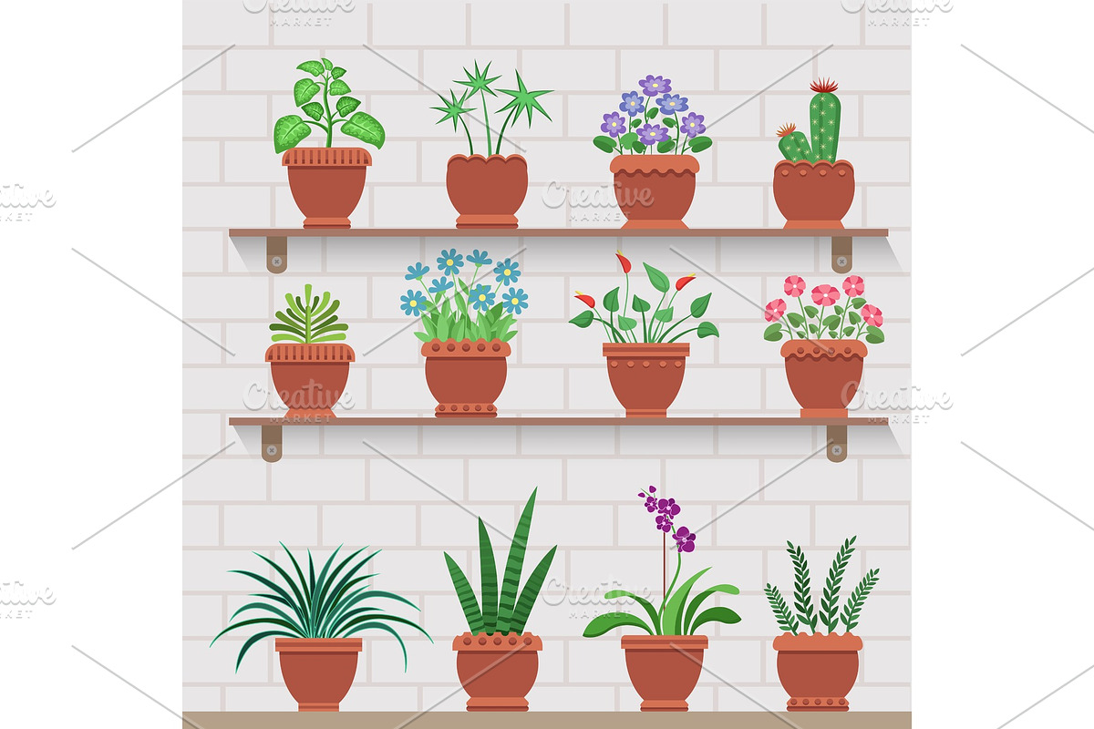 Indoor Plants on Shelves Attached to Brick Wall in Illustrations - product preview 8