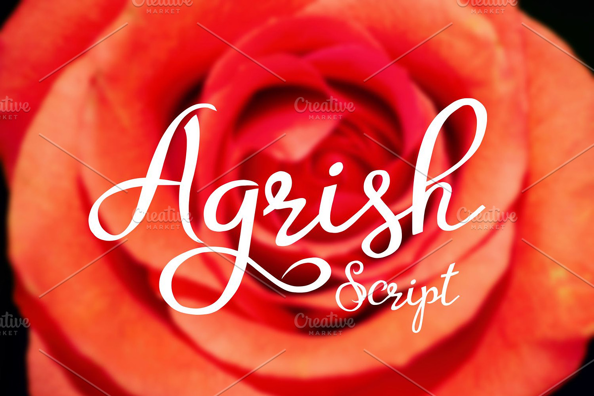 Agrish in Script Fonts - product preview 8