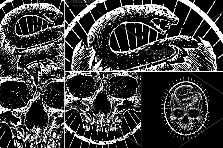 Venomous head in Illustrations - product preview 8