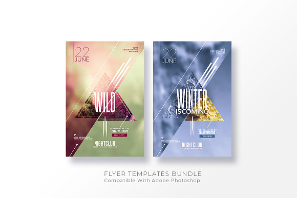 10 Minimal Flyer Templates Bundle in Flyer Templates - product preview 5