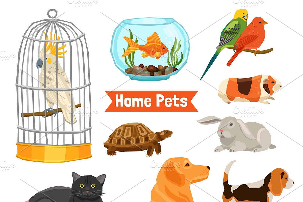 Big and small home pets set in Icons - product preview 8