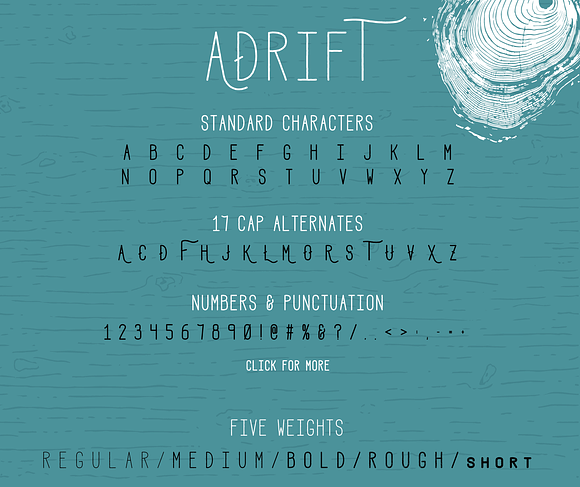 Adrift Font + Extras in Display Fonts - product preview 3