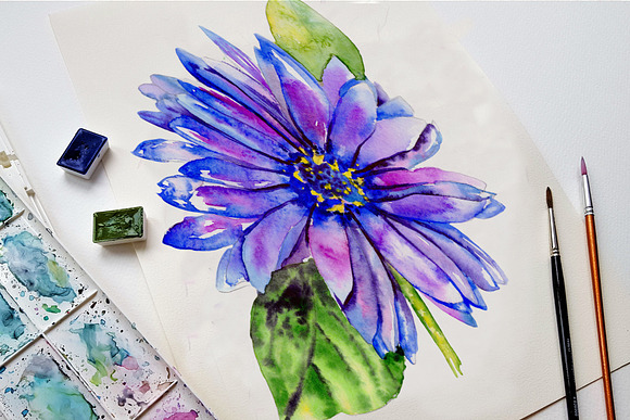 Blue gerbera PNG watercolor set in Illustrations - product preview 2