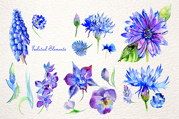 Blue gerbera PNG watercolor set in Illustrations - product preview 6