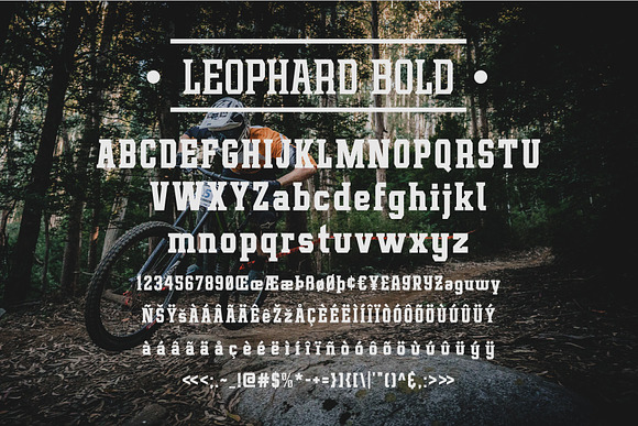 Leophard Font Family in Slab Serif Fonts - product preview 6