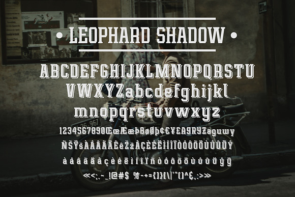 Leophard Font Family in Slab Serif Fonts - product preview 9
