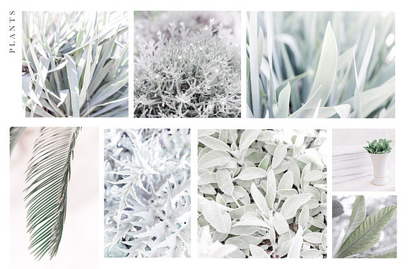 SUMMER IN WHITE. PHOTOS+MOCKUPS in Instagram Templates - product preview 5