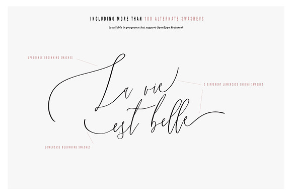 Sincerely, Rose | A Classy Script in Script Fonts - product preview 9
