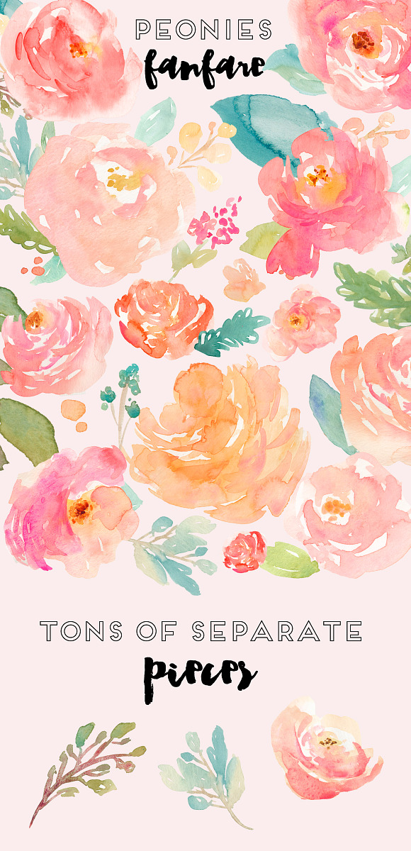 Peonies Fanfare- Watercolor Clip Art in Illustrations - product preview 2