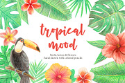 Tropical plants & birds illustration