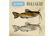 Sketch of bullhead or sculpin fish